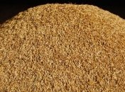 В Украине планируют существенно поднять урожайность зерновых