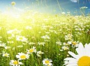 Погода на сегодня: в Украине снова будет жарко