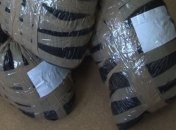 16 кг марихуаны изъяли в Сумской области