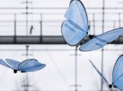 Немецкий разработчик создал роботов муравьев и бабочек (Видео)