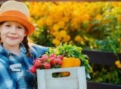 Проблемы с организмом, указывающие на нехватку витаминов