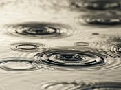 Погода в Украине на сегодня: дожди будут на востоке и юге страны 