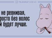 Веселая среда: прикольные анекдоты 12 февраля