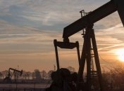 Цены на нефть снова показали рост