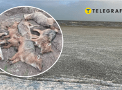 "Тузловські лимани"