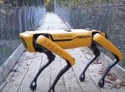 Киберпанк, который мы заслужили: роботы Spot пасут овец в Новой Зеландии (Видео)