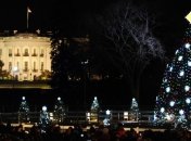 В Белый дом доставили Рождественскую елку