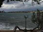 В Одессе вывезли около 80% сломанных деревьев