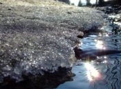 ГСЧС: На Закарпатье подтоплено 385 га сельхозугодий и километр дороги