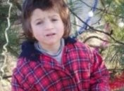 На Одесчине военные и волонтеры всю ночь искали 4-летнюю девочку (фото)