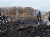 На Черниговщине вторую неделю продолжаются пожары