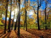 Погода в Украине на сегодня: тепло остается в стране