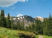 Красота и величие Украинских Карпат (Фото)