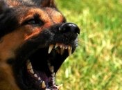 На Николаевщине от бешенства умер мужчина