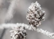 Какой праздник 9 февраля: народные приметы и запреты