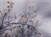 Какой праздник 5 января: народные приметы и запреты