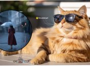 Погода в Україні