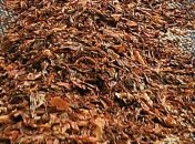 "Укртютюн": 10% табачной продукции на рынке - контрафакт