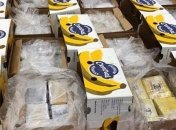 В Нидерландах обнаружили более полутора тонн кокаина