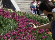 На Спивочем поле в столице откроют выставку цветов