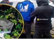 Затримання підозрюваного у вбивстві дівчинки на Вінничині