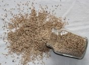 Медики объяснили, кому противопоказаны семена льна