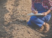 Огород нужно оздоровить и подпитать