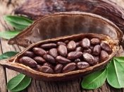 Полезные свойства какао-бобов для нашего организма