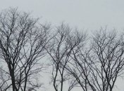 Погода в Украине на 15 декабря: без осадков, холодно