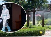 Сезонна дезінсекція