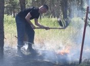 В Николаеве горели почти 2 га лесного урочища