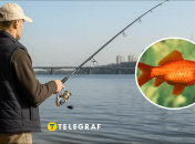 Золота рибка