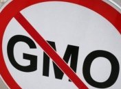 Беларусь приостановила поставки животноводческой продукции в Россию