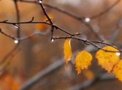 Прогноз погоды в Украине на 23 октября: ожидается похолодание 