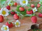 Какая ягода полезна для укрепления костей?