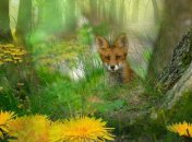 С 1 апреля в Украине ввели режим тишины: что теперь запрещено (инфографика)