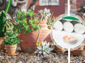 Можно использовать горшки из-под цветов.