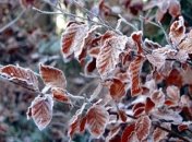 Дожди с мокрым снегом: украинцев предупреждают о гололедице на дорогах