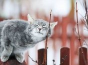 Прогноз погоды на выходные: тепло и сухо