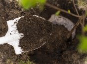 Почва должны быть плодородной