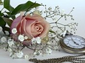 Знаменательные события в истории: 8 сентября 2019 года