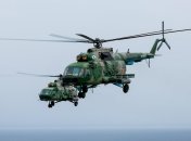 Причиною аварії називають помилку пілота