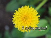 Разобрались, кого поздравляем с Днем ангела 21 мая