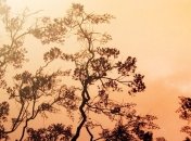 Температурные аномалии: какую погоду ждать в Украине в 2020 году