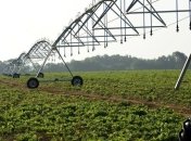 В Украине растет производство сои