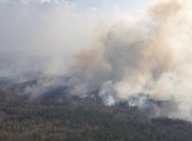 Пожары в Житомирской области: в ГСЧС рассказали, что мешает тушению 