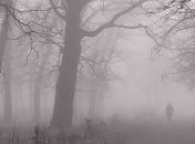 Синоптики рассказали, какой будет погода в следующие пару дней