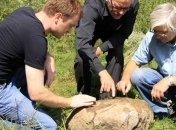 В Белоруссии обнаружен камень с таинственным рисунком