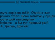 Настрій - що треба: добірка анекдотів для вдалого дня