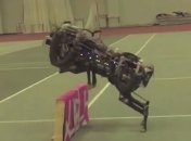 Самую быструю собаку-робота Читу научили прыгать (Видео)